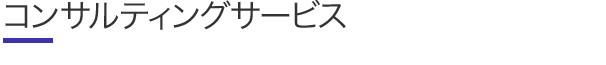 コンサルティグサービス